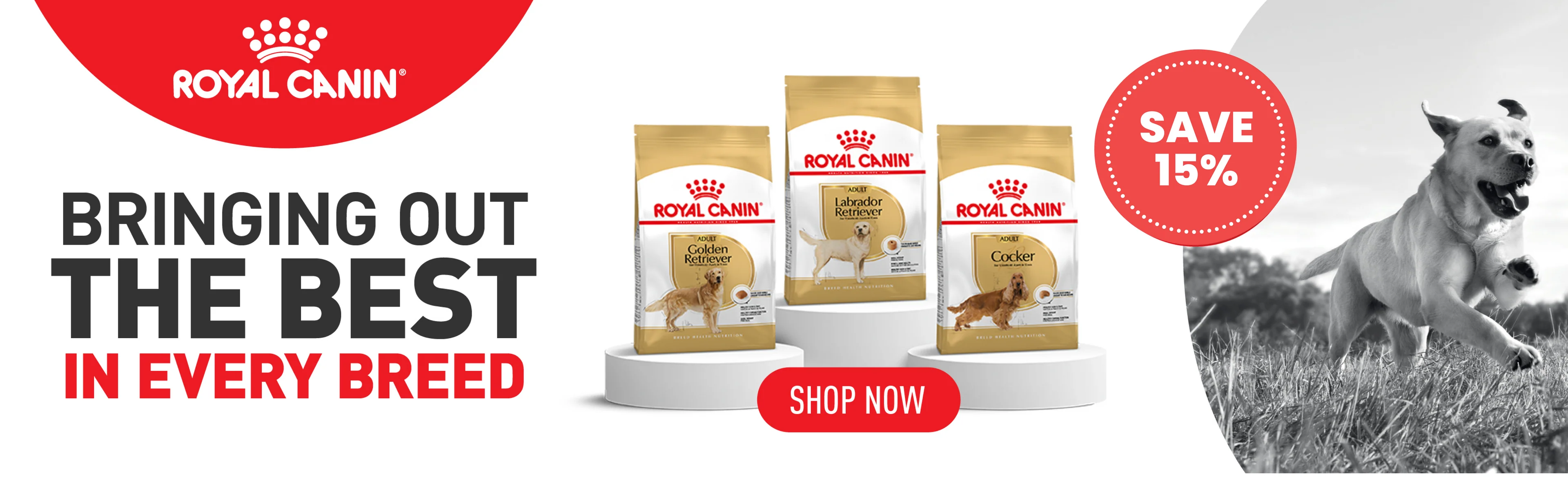 Unleash Your Pet's Signature Style